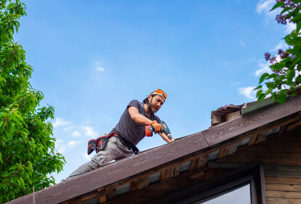 Best Green or Eco-Friendly Roofing Solutions  in South Run, VA